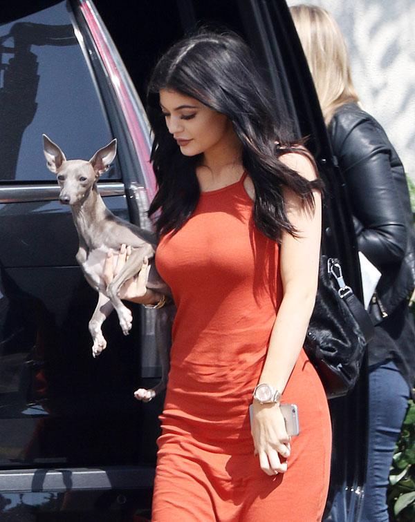 Kardashian pets