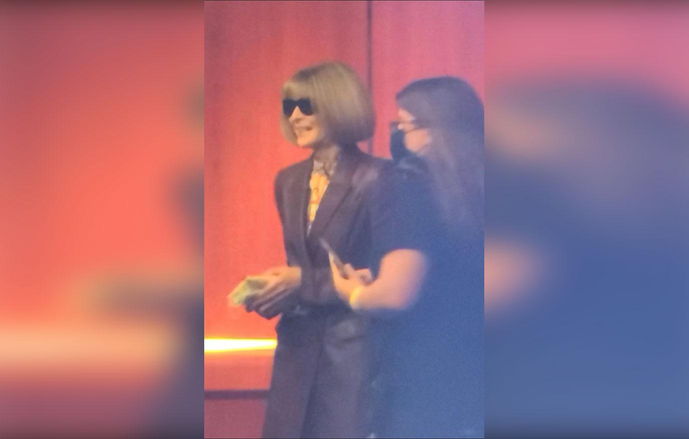 anna wintour shows rare smile at harry styles concert