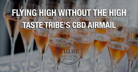 tuesday image tribe