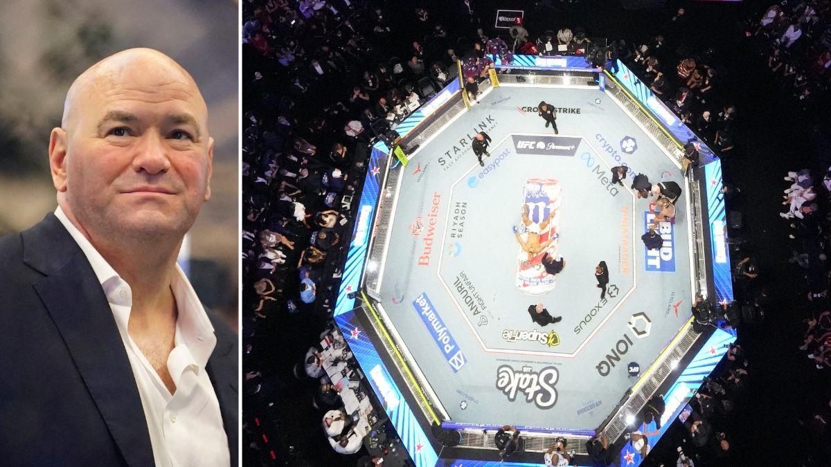 Dana White 'Needs a Year to Recover Financially' After UFC Freedom 250 Fight at White House