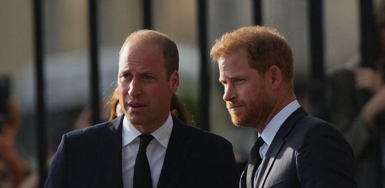 prince harry secretly talks princess diana family feud prince william