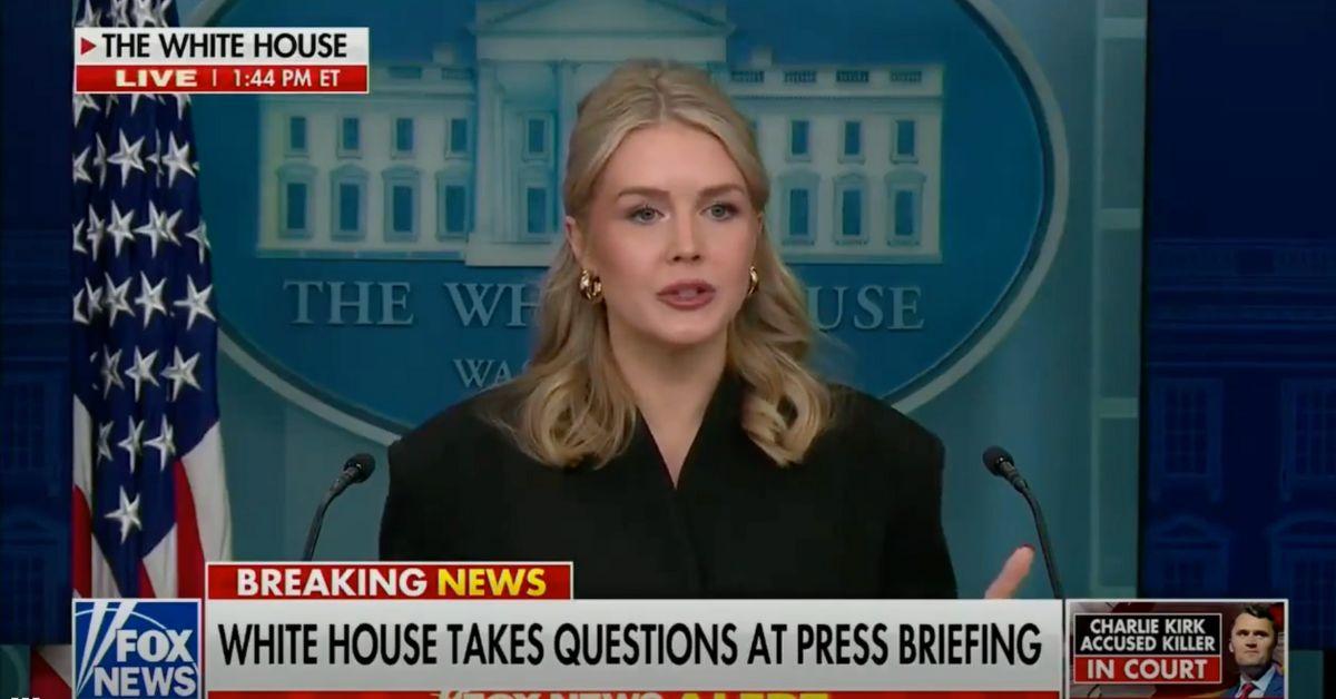 image of Karoline Leavitt brushed off concerns about the president's bandaged hands.