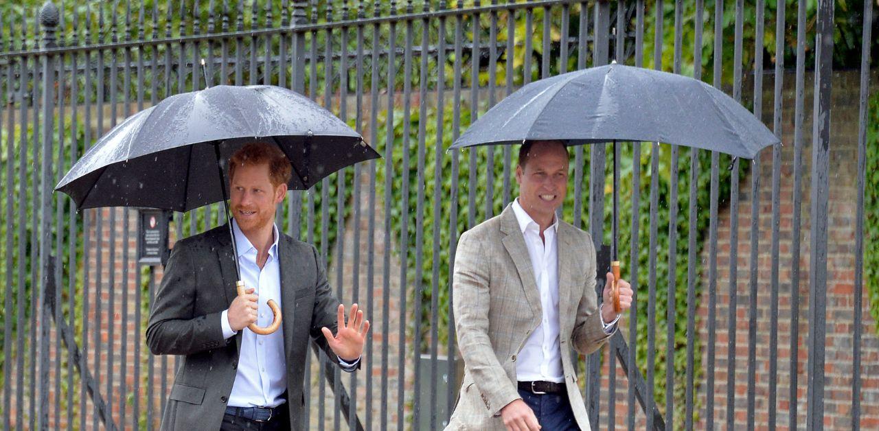 prince william urged not forgive prince harry after not reuniting