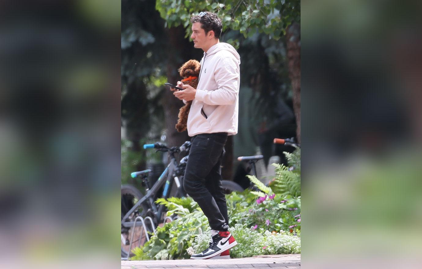 Orlando bloom puppy