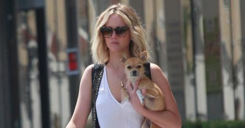 Jennifer Lawrence Dog Pippi Stocking Photos Long