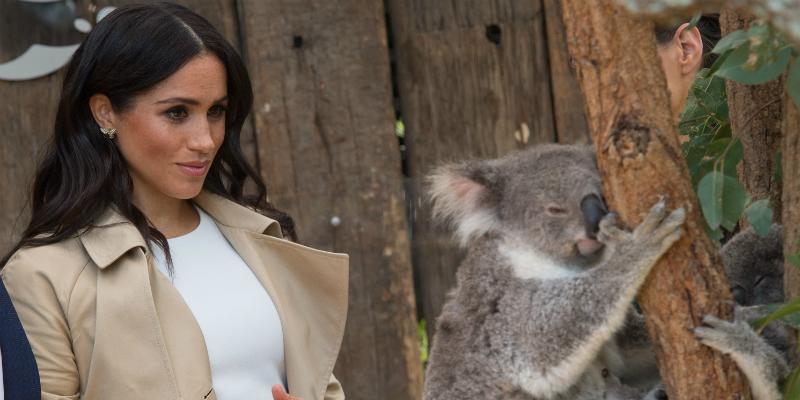 Meghan Markle Outfit Bset Royal Looks Australia feature