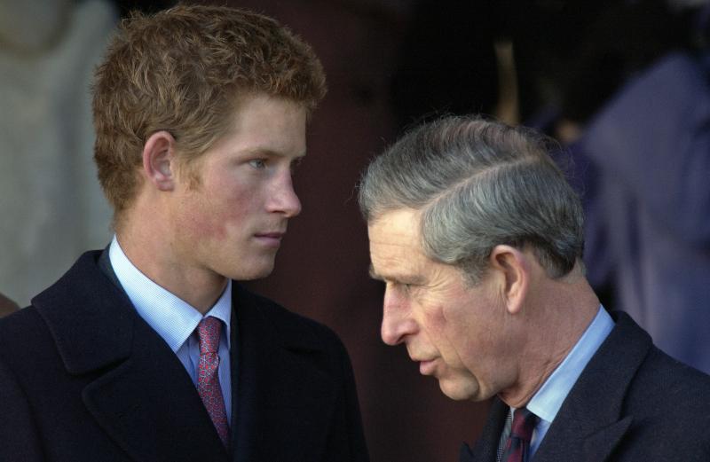 Prince harry rehab scandal