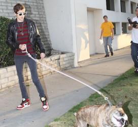 2010__08__Sam_Ronson_Bulldog_Attack_Aug31news 272×300.jpg