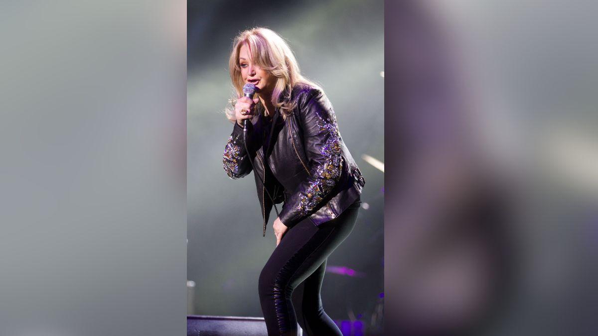 image of Bonnie Tyler endured several setbacks in her career.