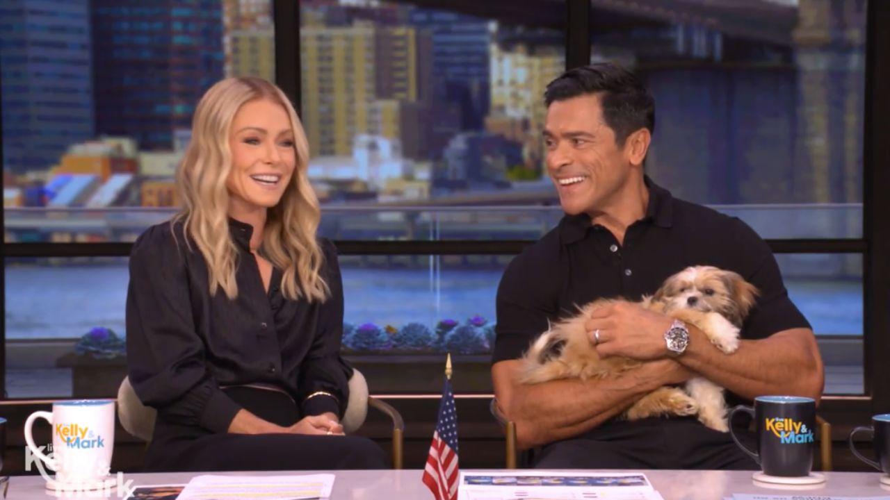 Image of  Kelly Ripa and Mark Consuelos' dog is being treated for a parasite. 