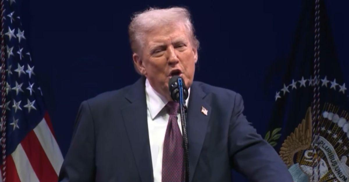 image of Donald Trump dismissed domestic violence as a 'lesser crime.'
