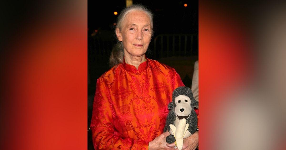 jane goodall life in photos animal welfare activist dead at