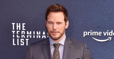 chris pratt stung eye bee blames beekeeper pp