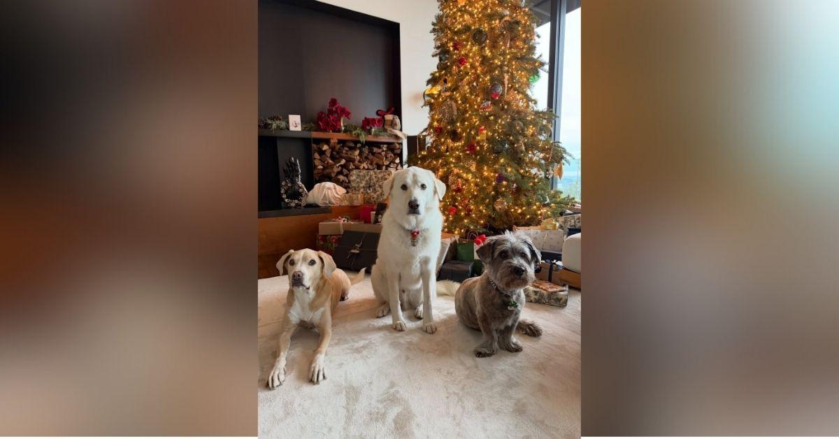 image of The actress posted sweet moments with friends, family and pets via Instagram. 