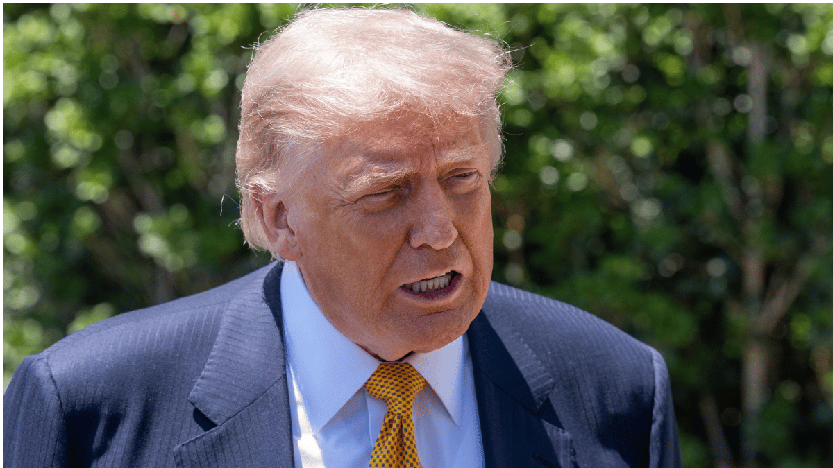 pic of Donald Trump. 