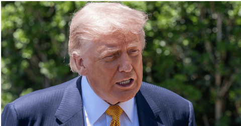 pic of Donald Trump.