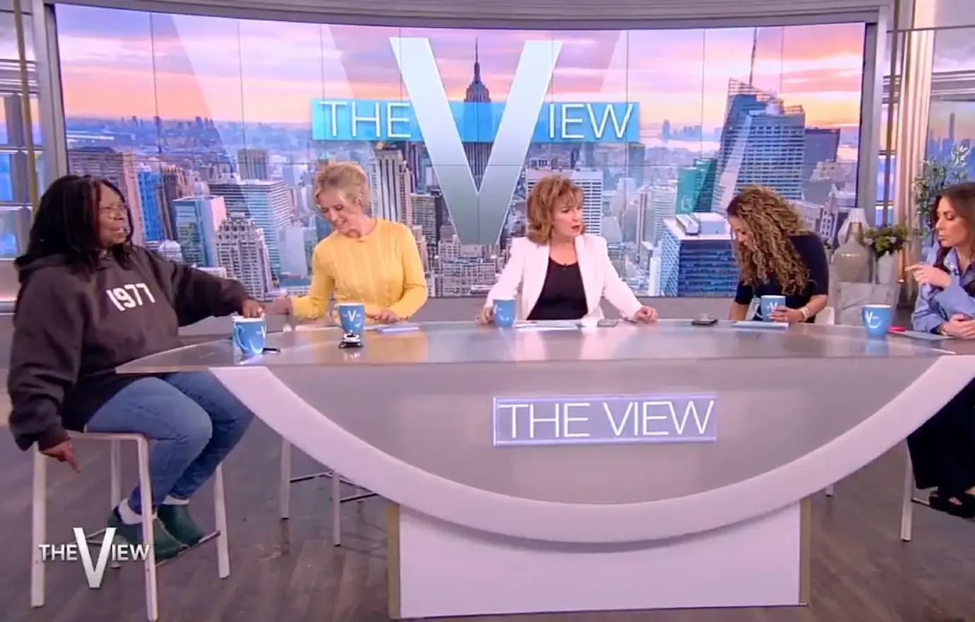 theview twitter spill