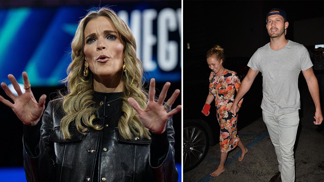 Megyn Kelly Hayden Panettiere,Brian Hickerson