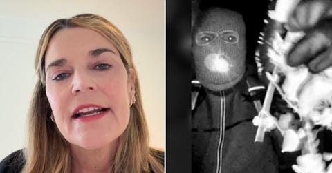 split of Savannah Guthrie, potential suspect.