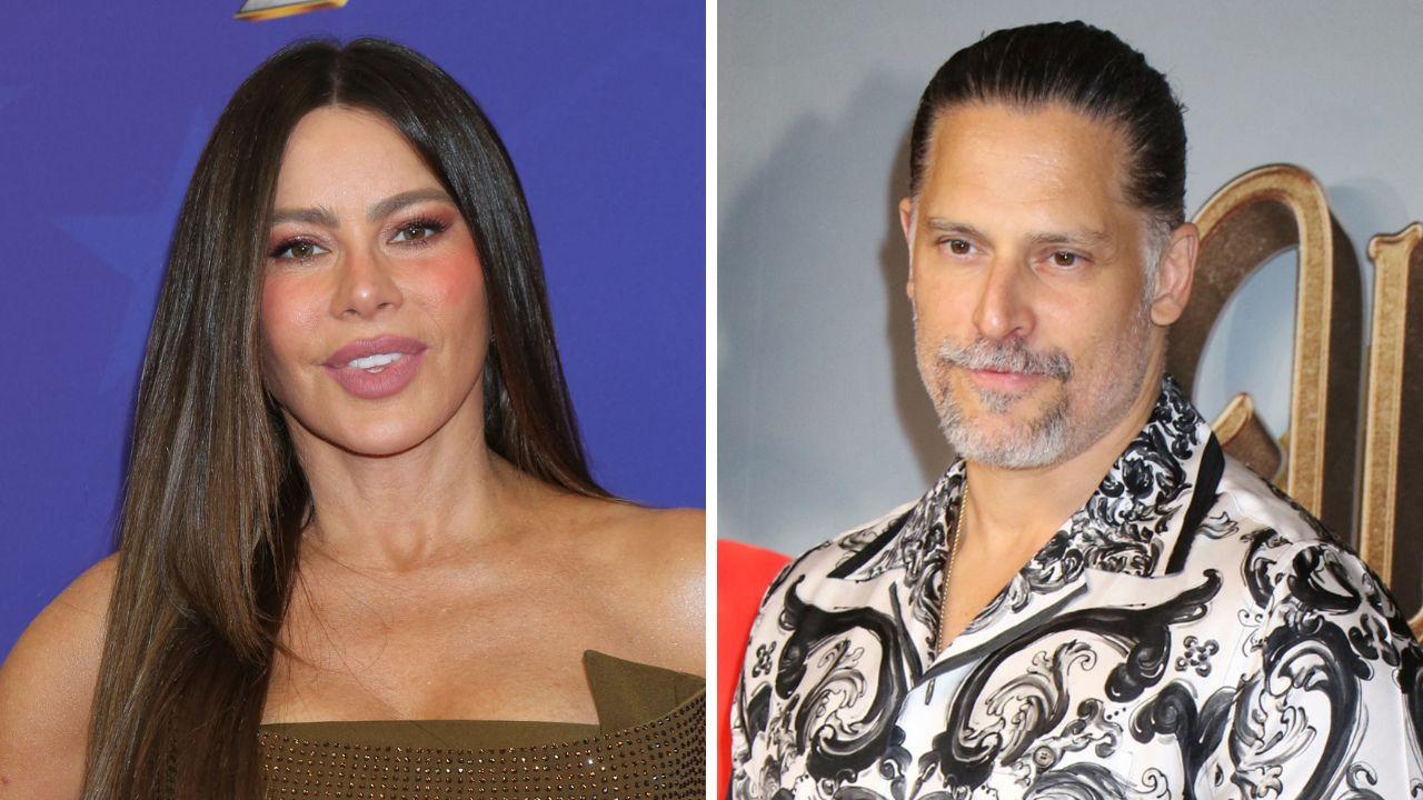 why did sofia vergara joe manganiello split divorce
