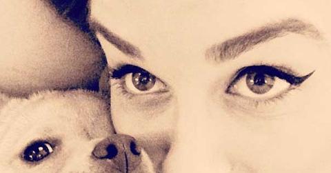 Lauren conrad celebrity pets chloe