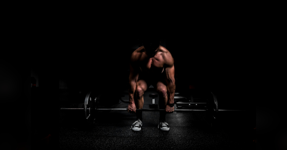 turkesterone how does it support the overall health of athletes and bodybuilders