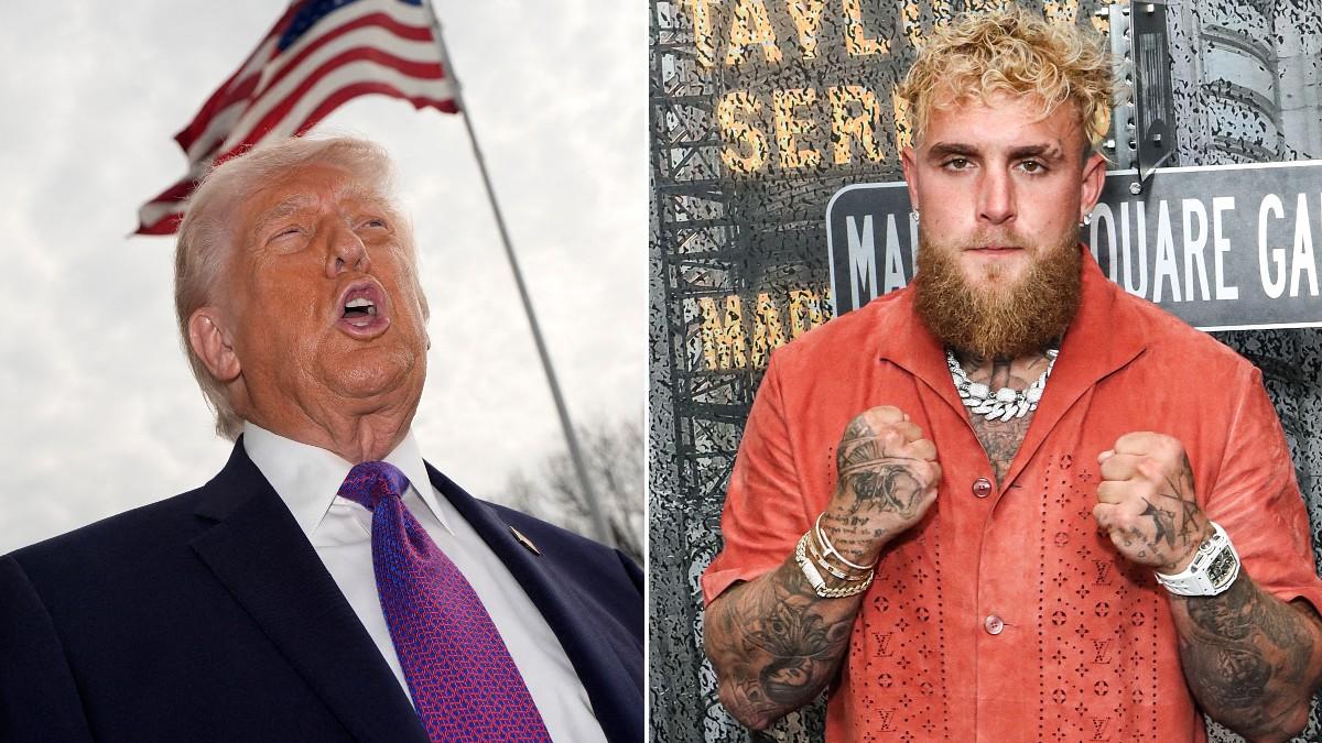 split of Donald Trump, Jake Paul. 