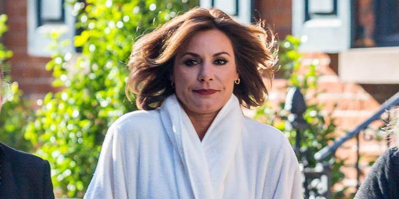 luann de lesseps drunken arrest faces 5 years prison pp