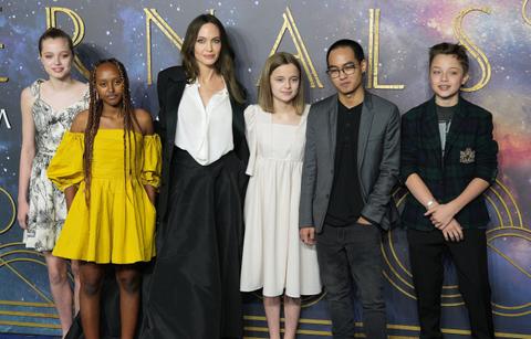 angelina jolie brad pitt plane