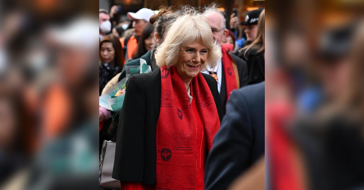 queen elizabeth skeptical duchess camilla