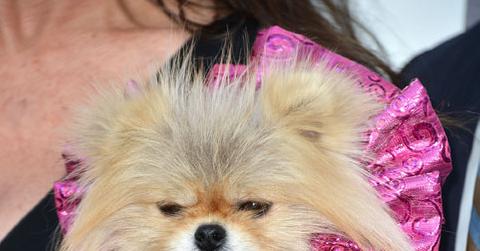 Ok_061213_giggy 1.jpg