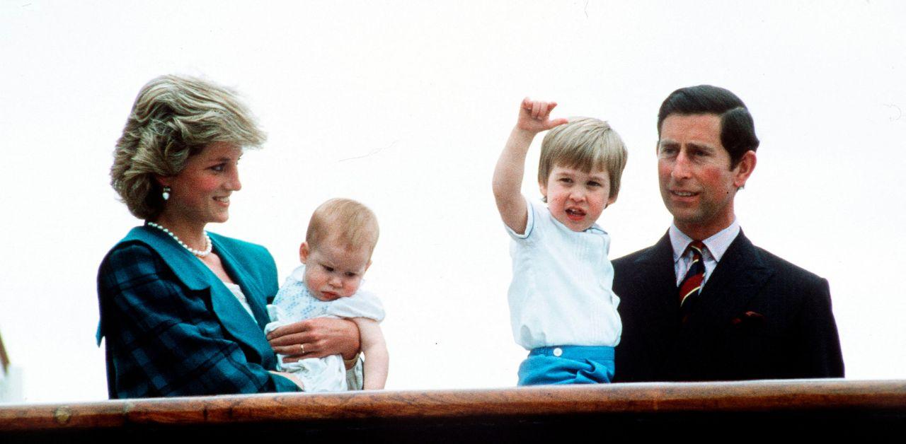 peacemaker princess diana would make prince harry apologize king charles