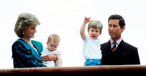 peacemaker princess diana would make prince harry apologize king charles