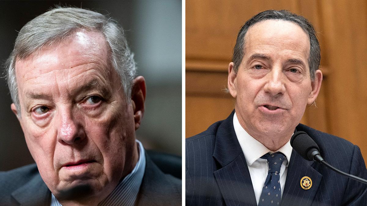 Jamie Raskin,Dick Durbin.