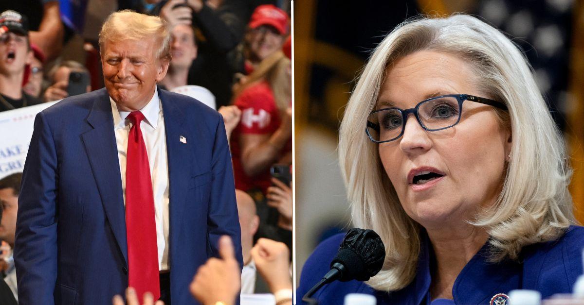 donald trump liz cheney lashes out