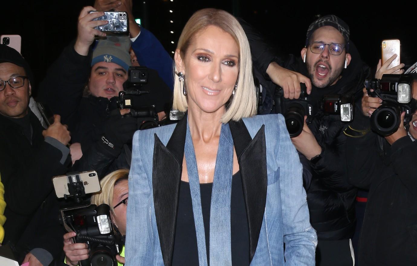 celine dion postpones concert health woes