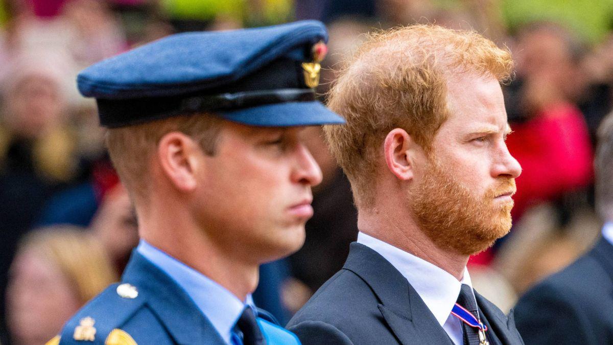 image of harry and William 