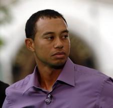 2009__12__tiger 225×216.jpg