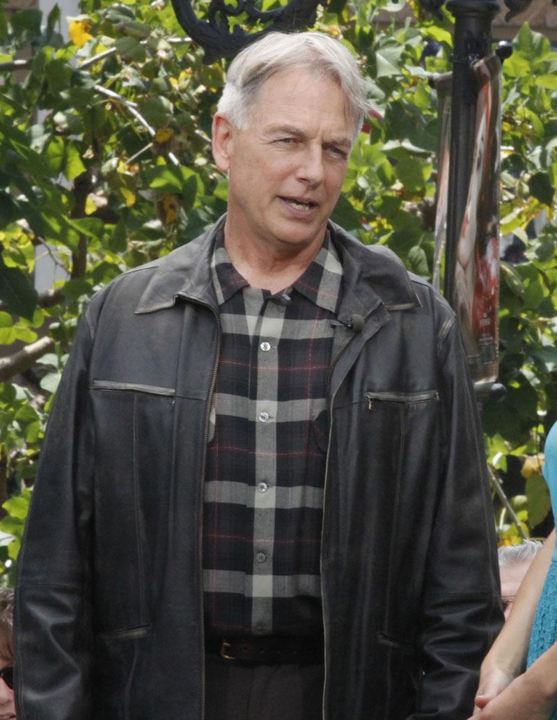 Mark Harmon Friend Died 5