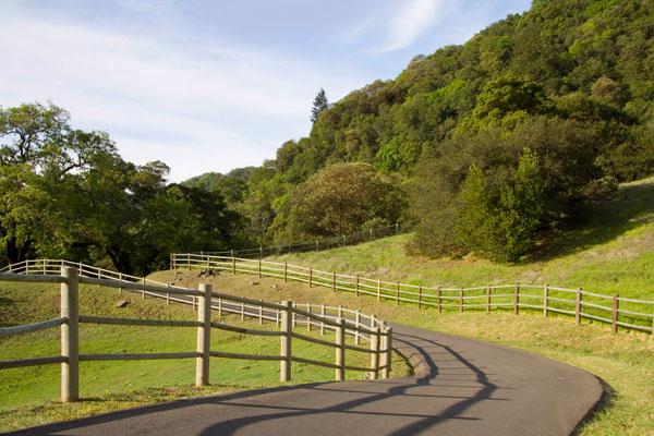 robin williams napa valley estate sold