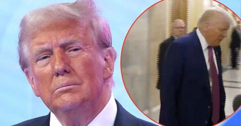 donald trump wall video senile claims