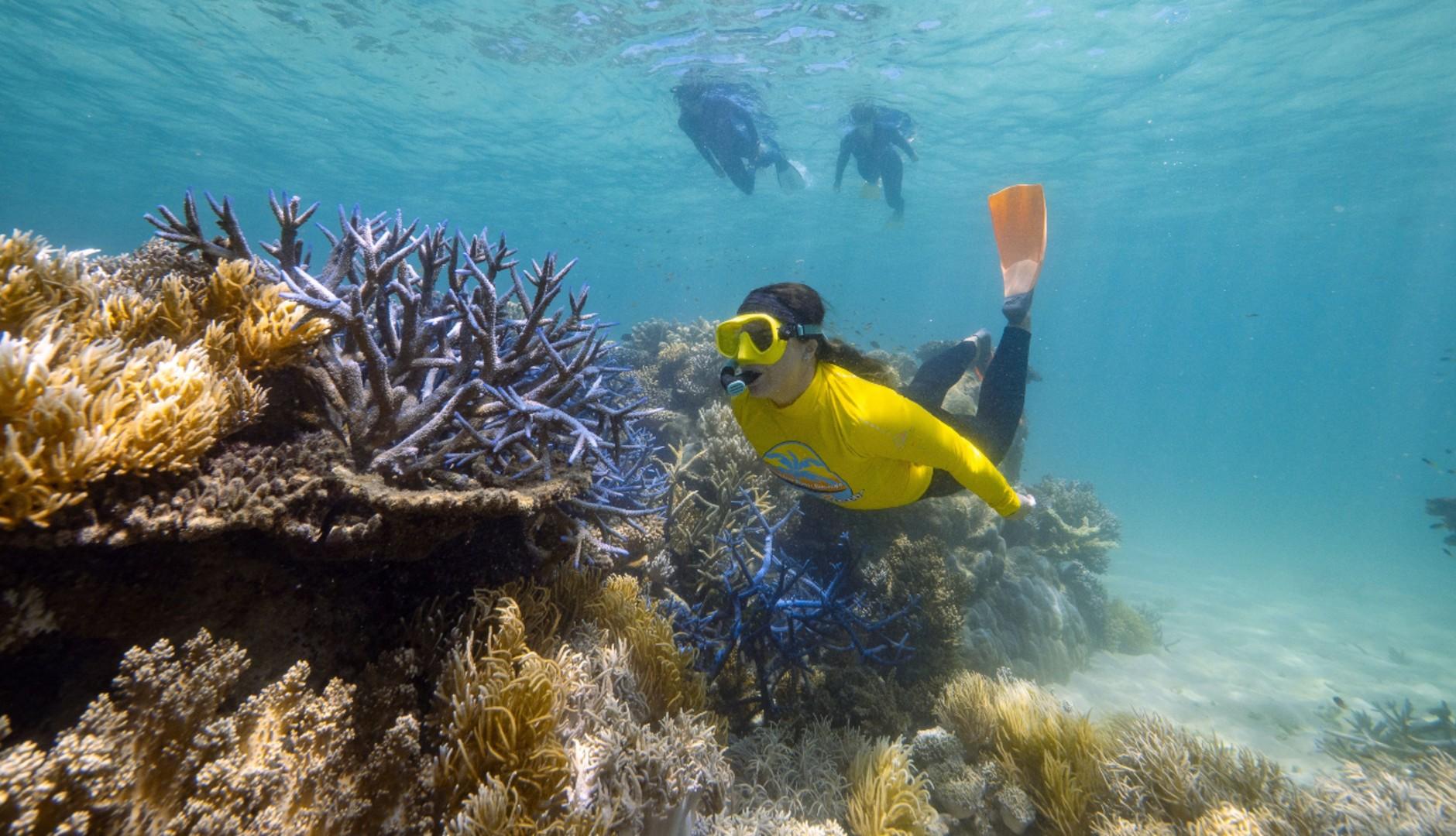 great barrier reef