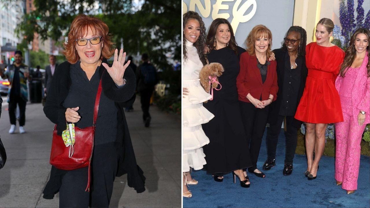 Split photo of Joy Behar and 'The View'