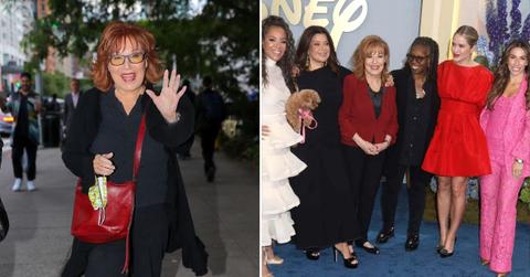 Split photo of Joy Behar and 'The View'