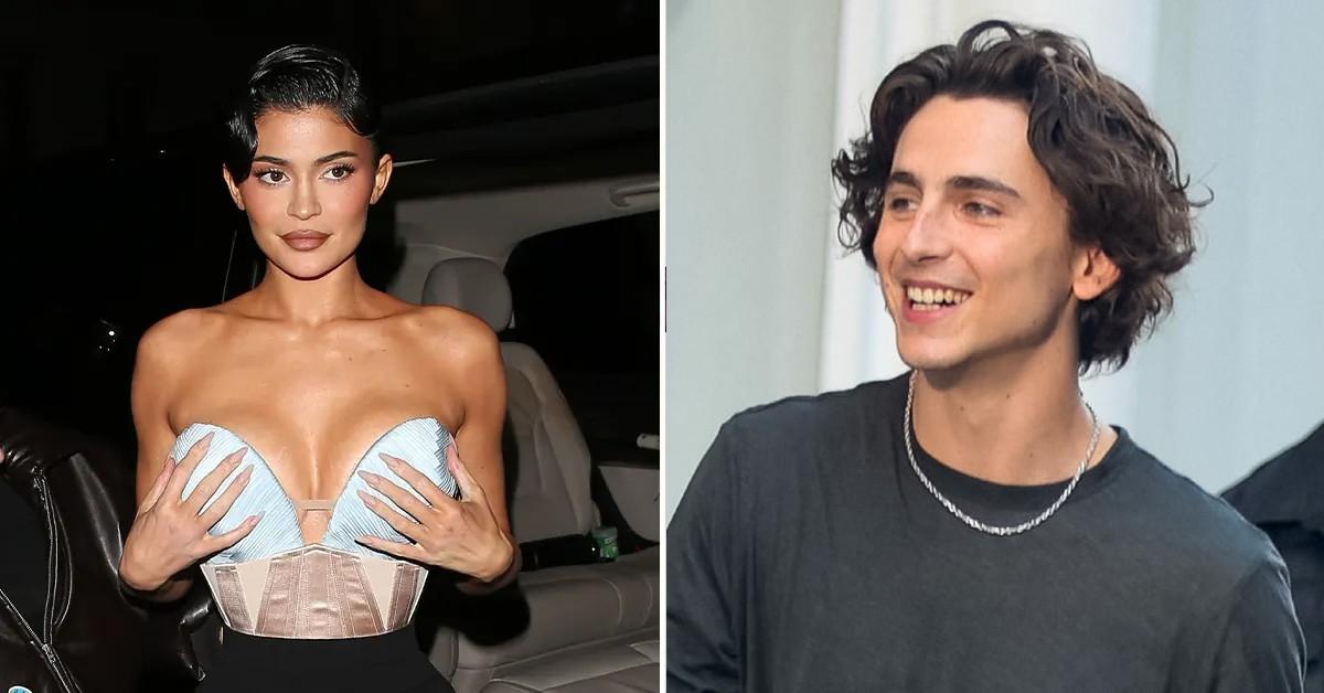 kylie jenner timothee chalamet pp