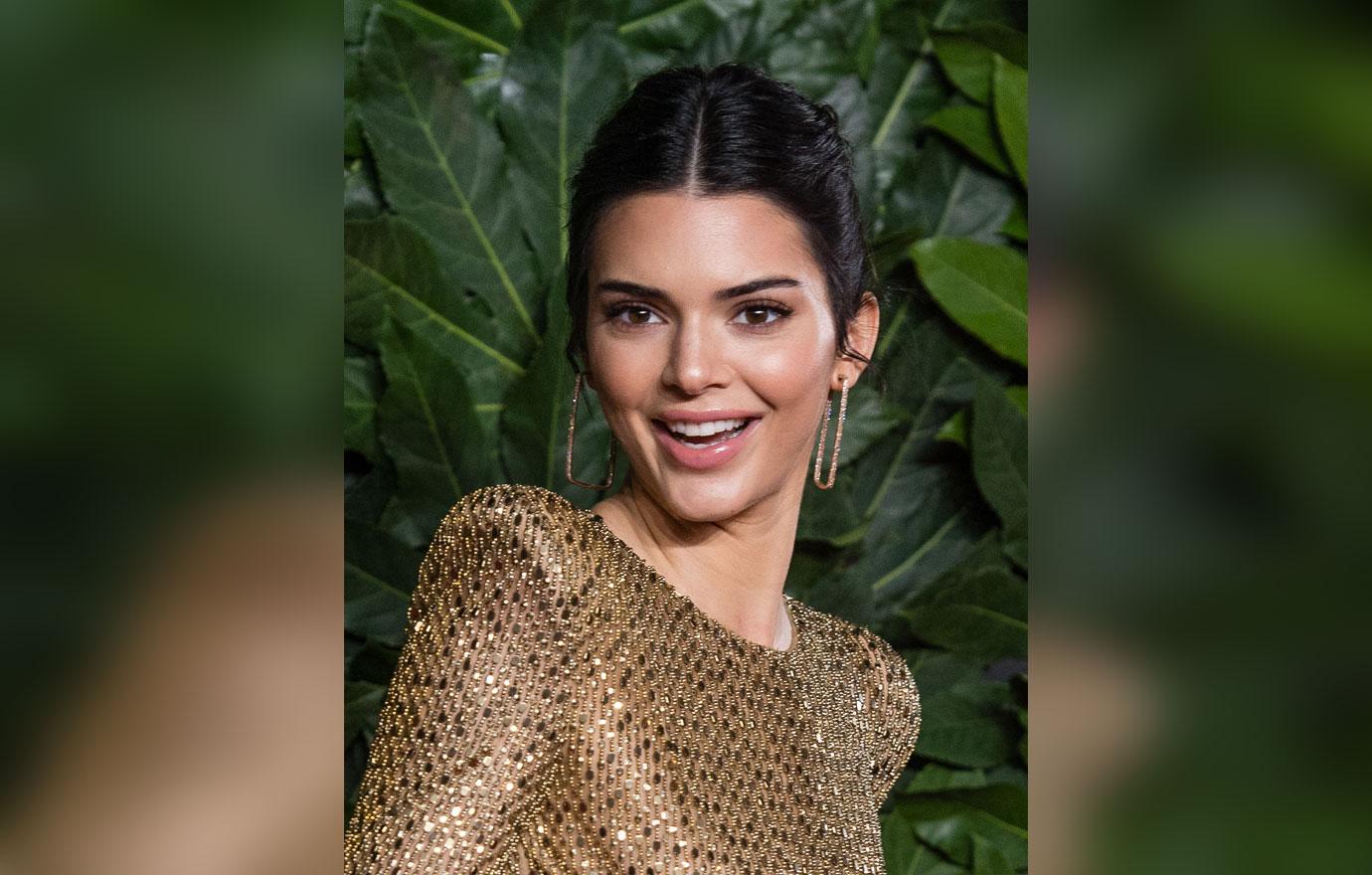 Kendall Jenner Wears See-Through Dress At 2018 Fashion Awards