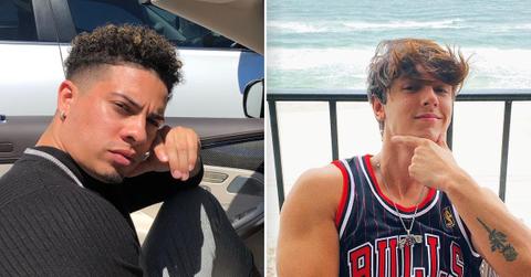 livx social gloves battle platforms boxing entertainment event pf