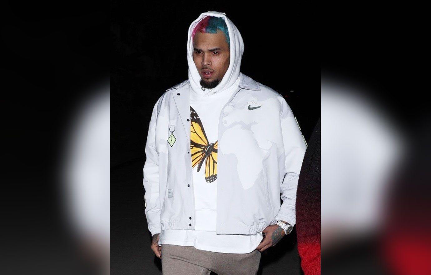 chris brown gallery pic