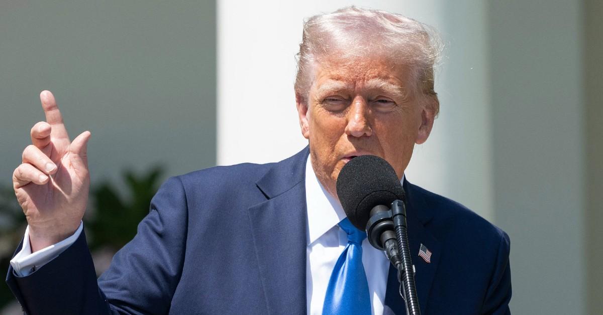 incredibly stupid donald trump eviscerated