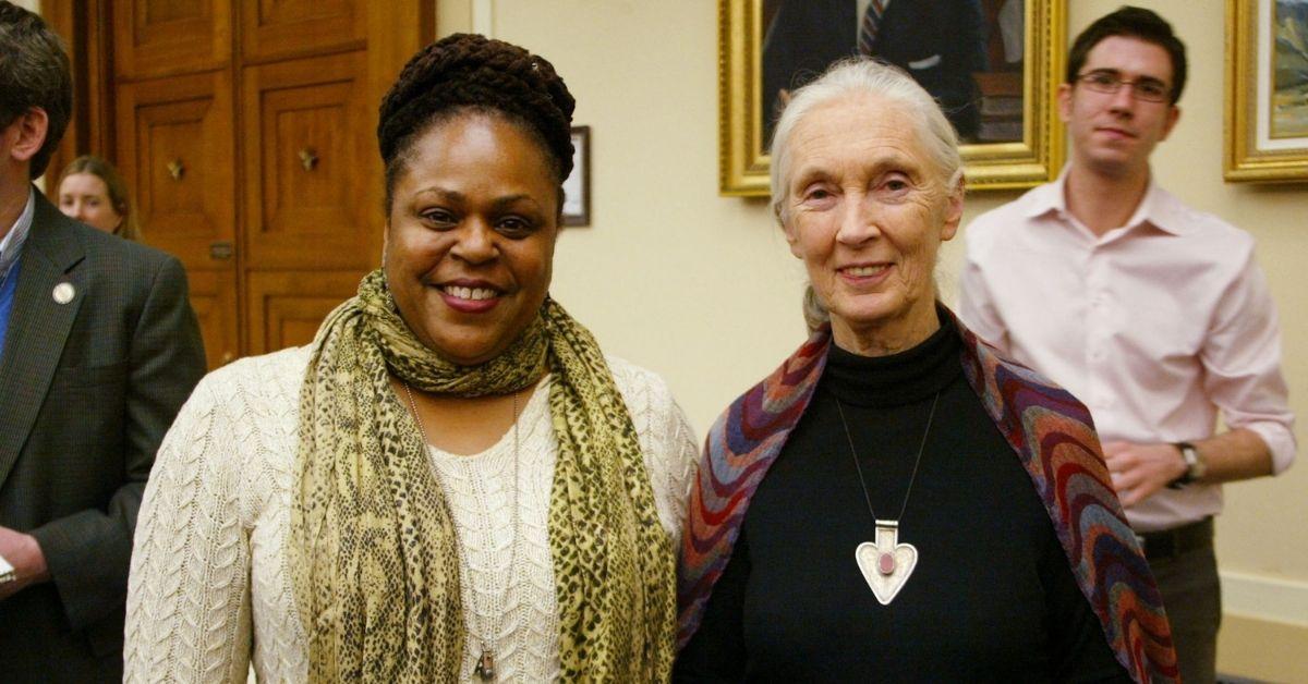 jane goodall life in photos animal welfare activist dead at